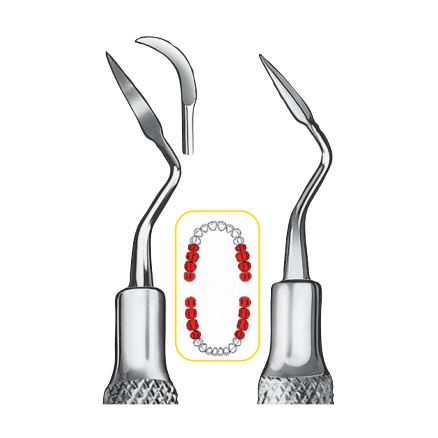 Scaler