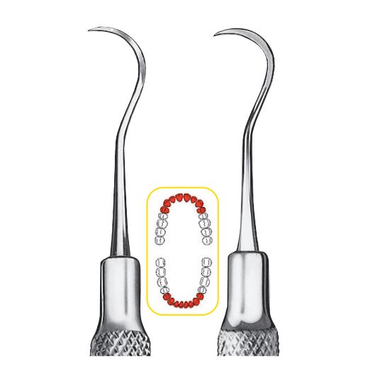 Scaler hygienist, LiquidSteel