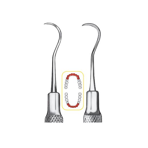 Scaler Universal LS-Passion