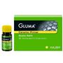 Gluma Ceramic Primer 4 ml