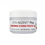 Vita Akzent Plus Chroma Stains A3 4 g 